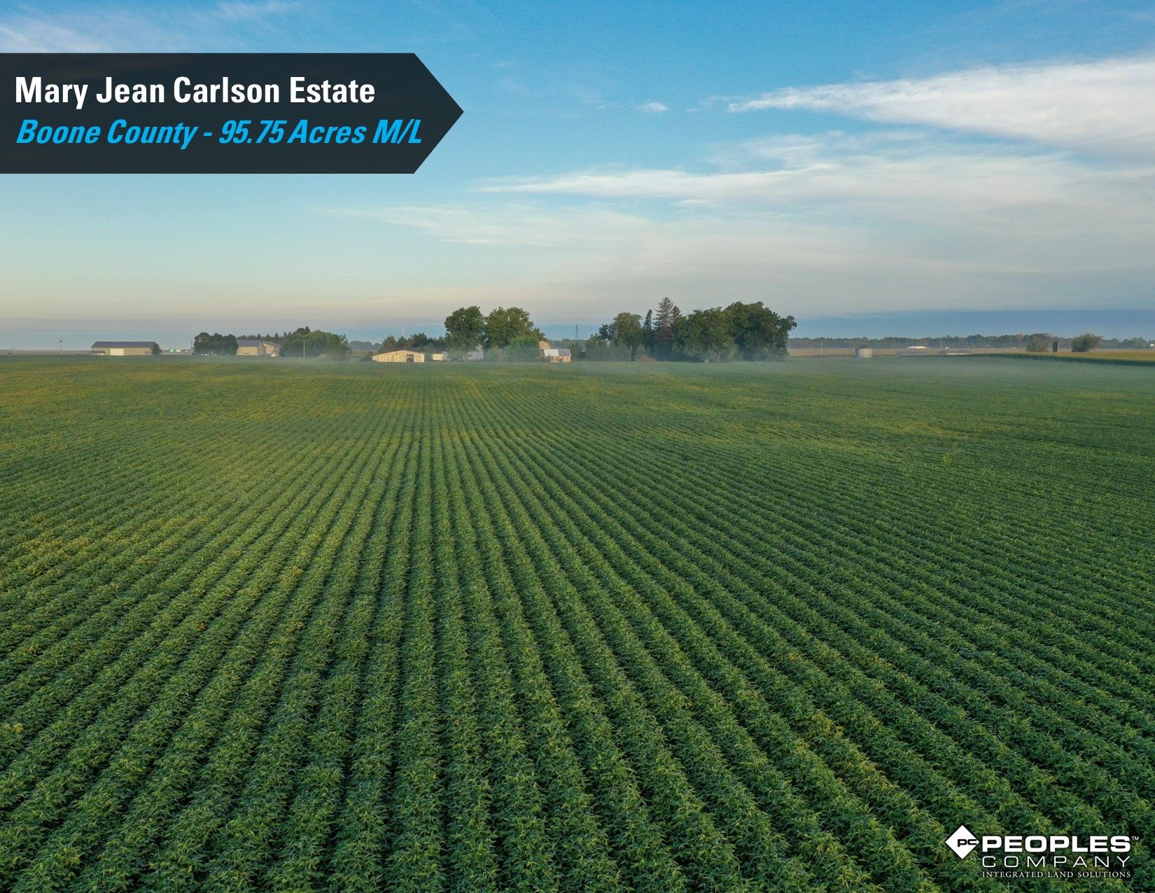 Listing Photo: Boone-County-IA-Land-Auction-95.75-Acres-Ogden-Carlson-Estate (11)